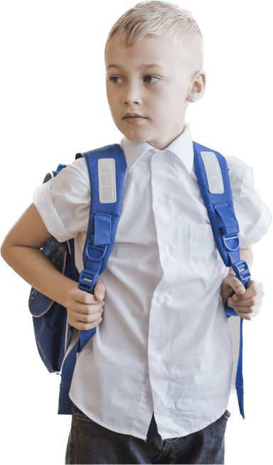 curriculum