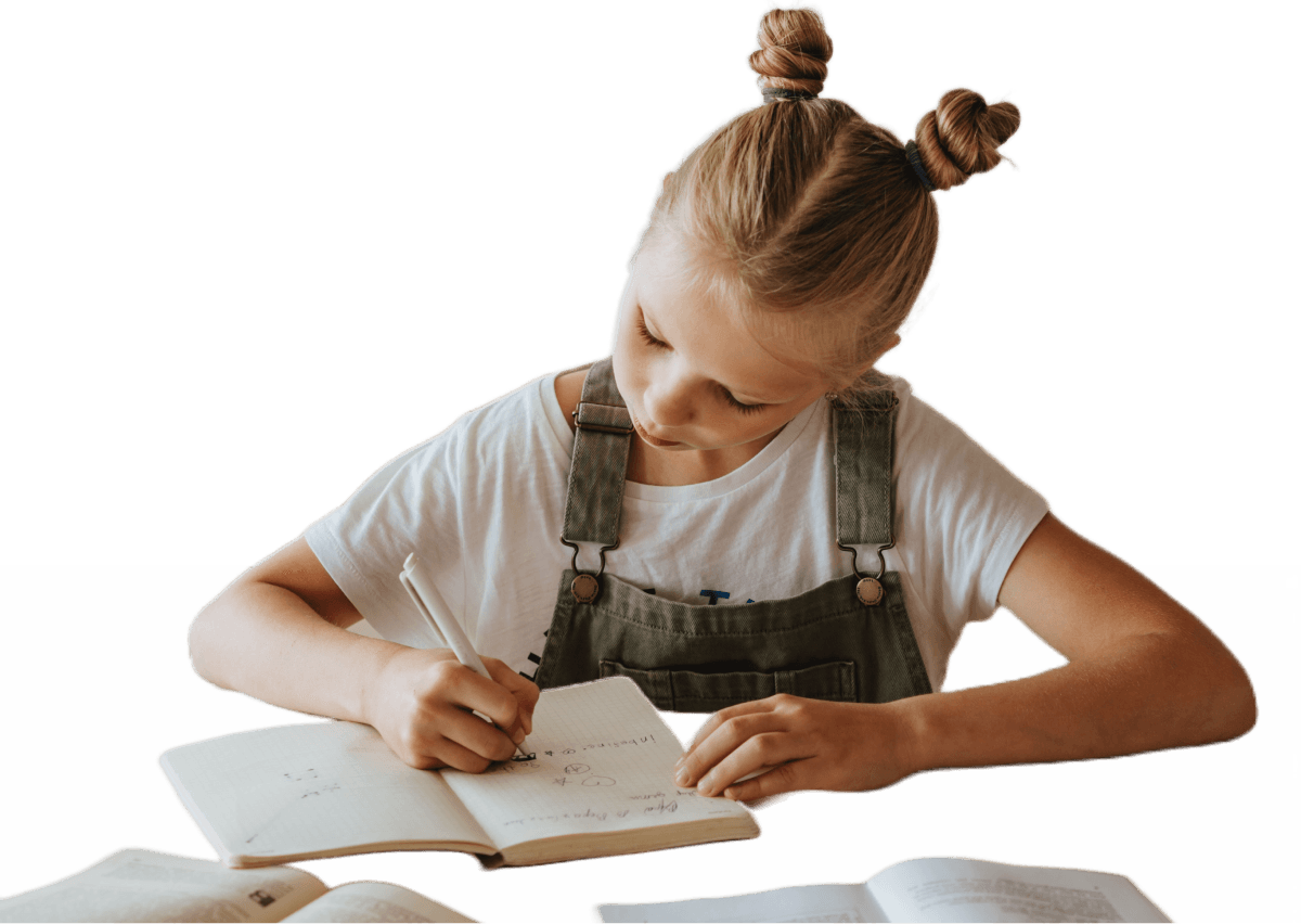 curriculum-section-title