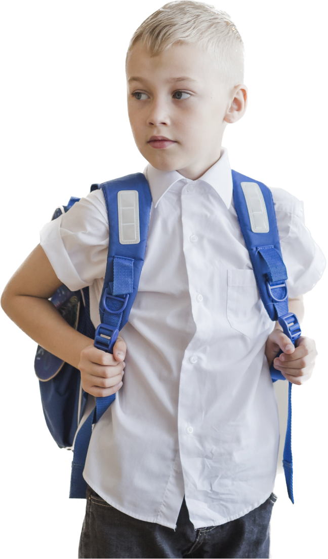 curriculum